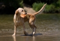 28 Wasseraction
